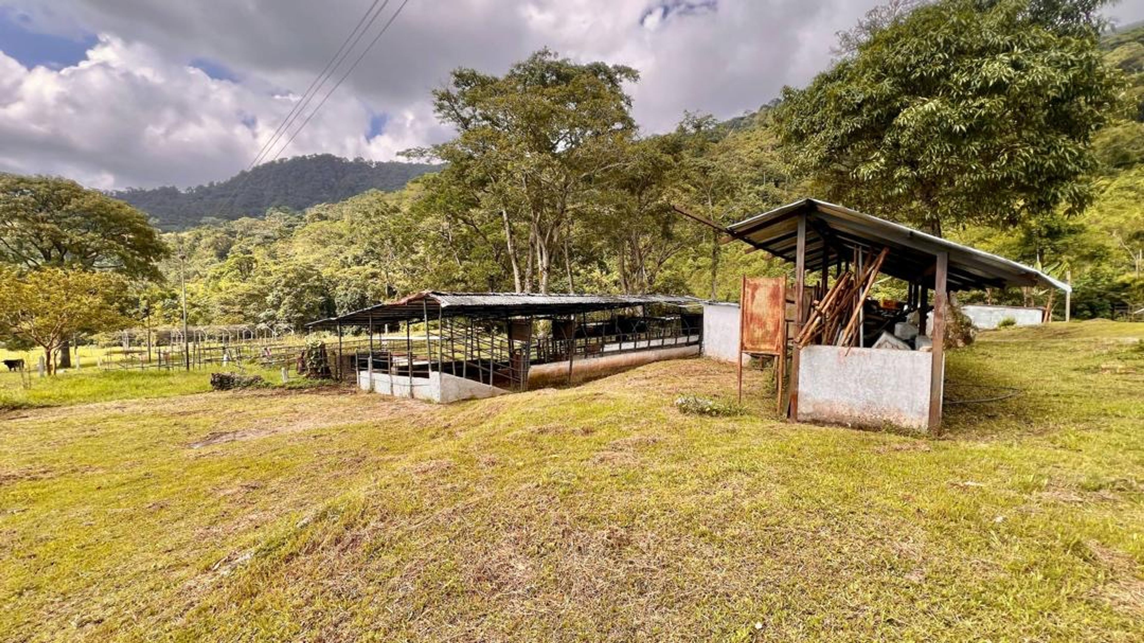 Finca agropecuaria de 23 hectáreas en vía Chorro El Indio sector Pedraza — foto 17