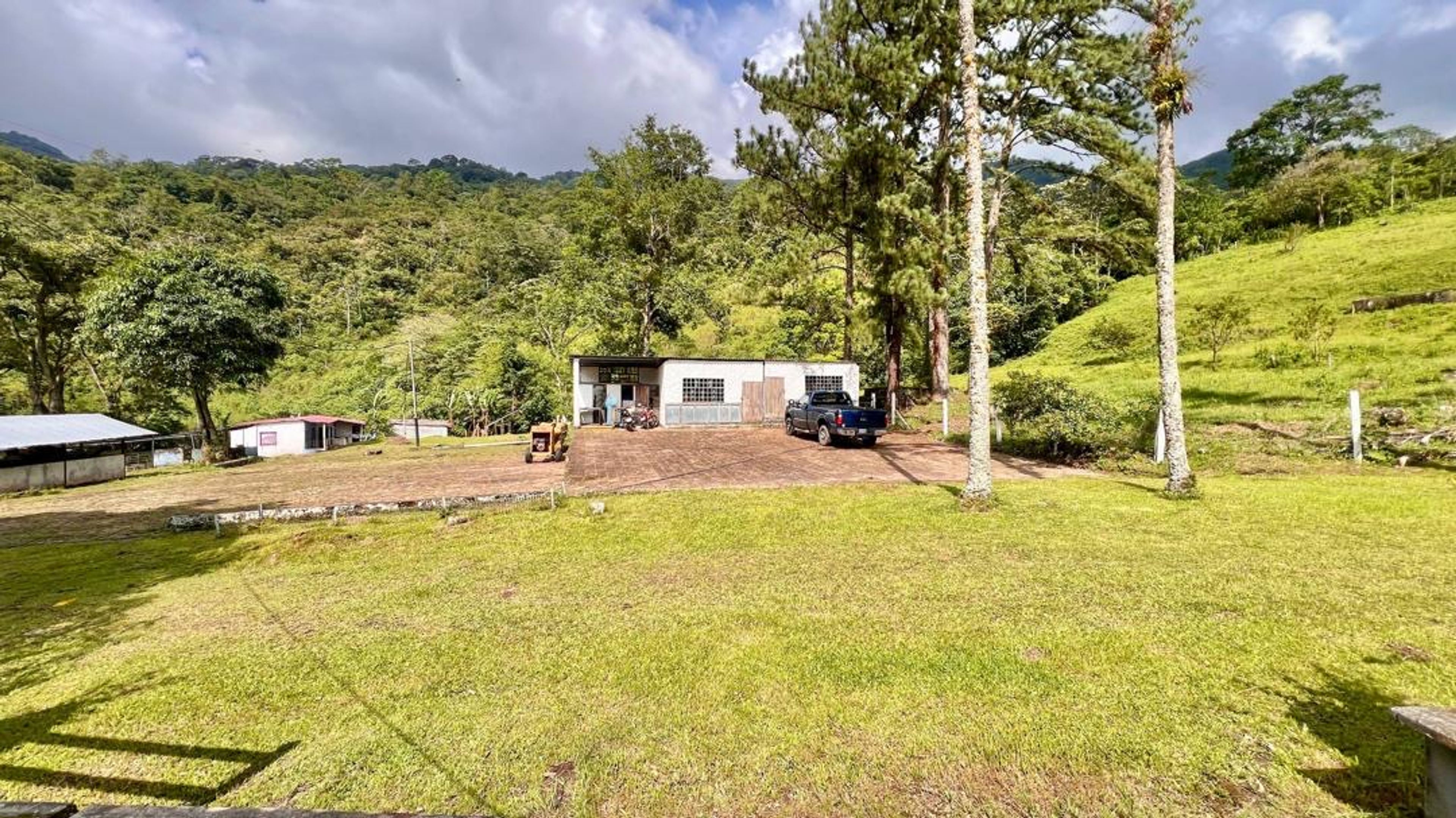 Finca agropecuaria de 23 hectáreas en vía Chorro El Indio sector Pedraza — foto 8
