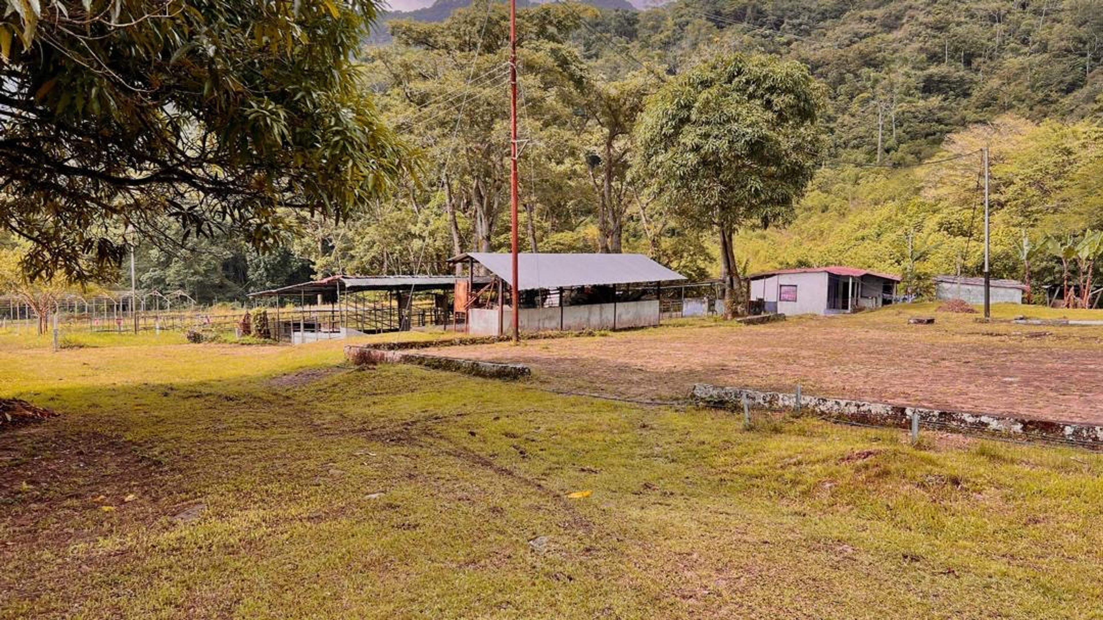 Finca agropecuaria de 23 hectáreas en vía Chorro El Indio sector Pedraza — foto 20
