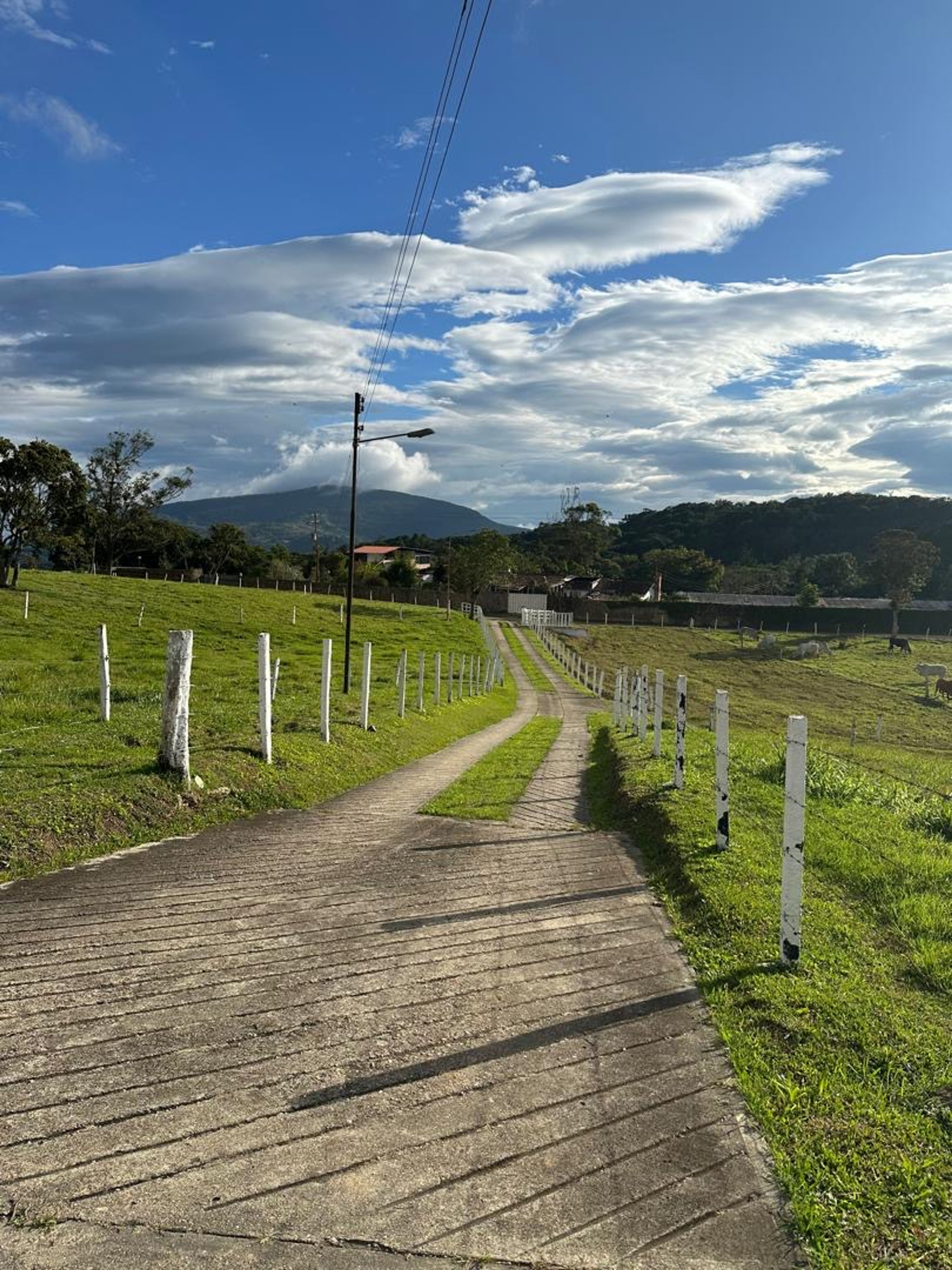 Finca de 8 hectáreas en Casa del Padre — foto 12