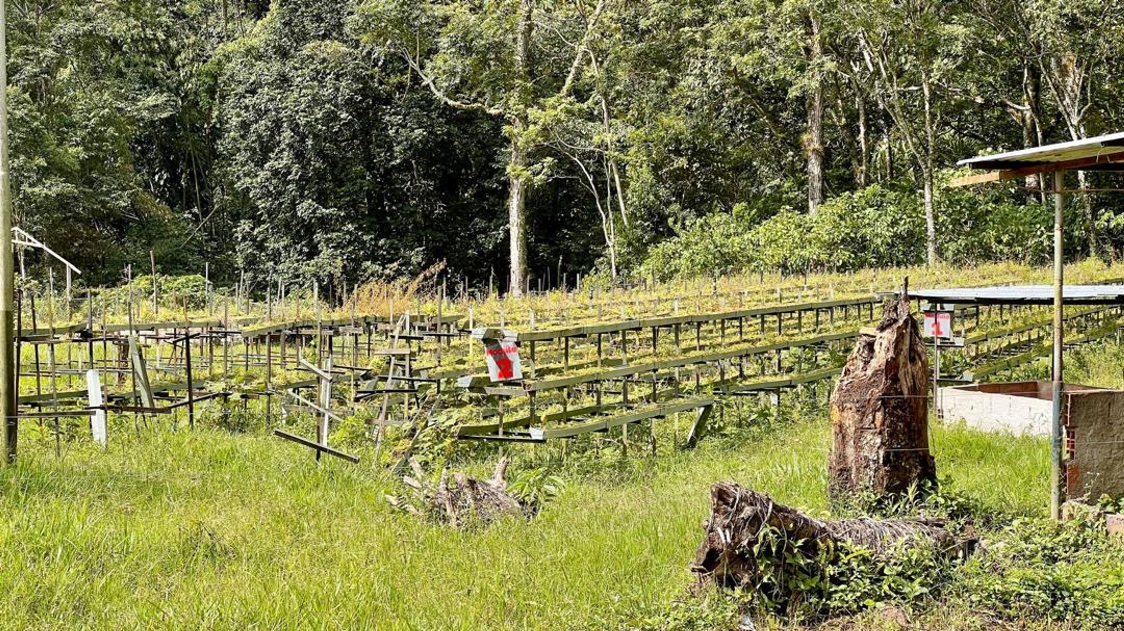 Finca agropecuaria de 23 hectáreas en vía Chorro El Indio sector Pedraza — foto 19