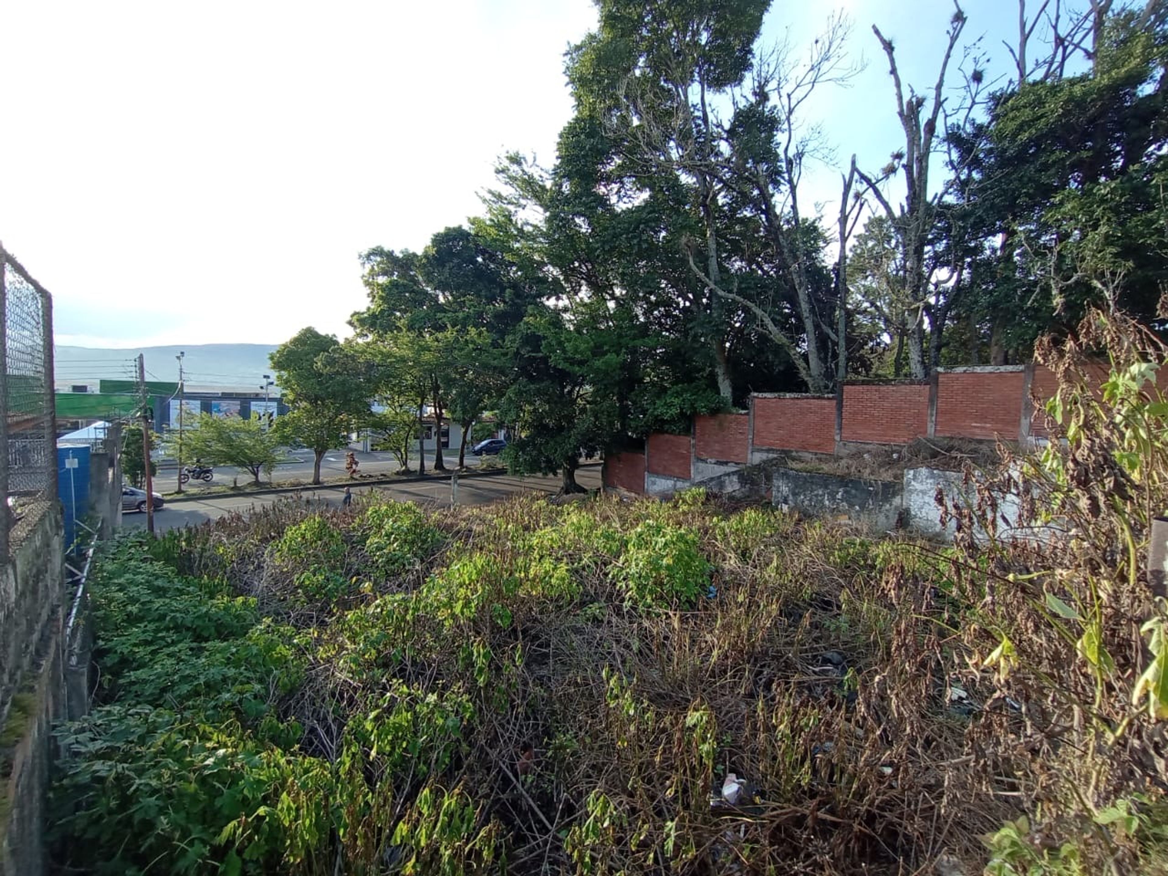 Terreno o parcela en 19 de Abril, San Cristóbal — foto 4