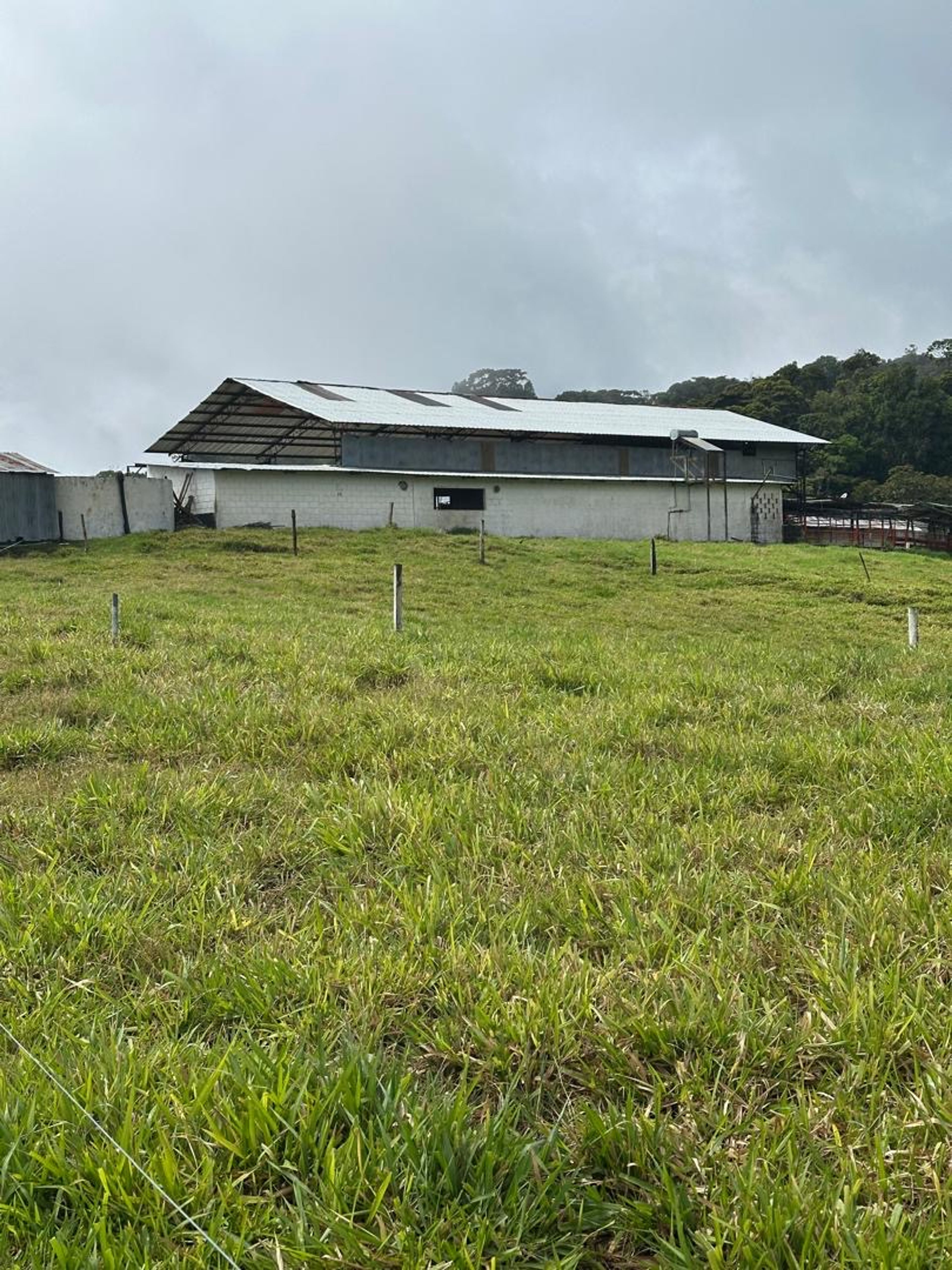 Finca de 8 hectáreas en Casa del Padre — foto 14