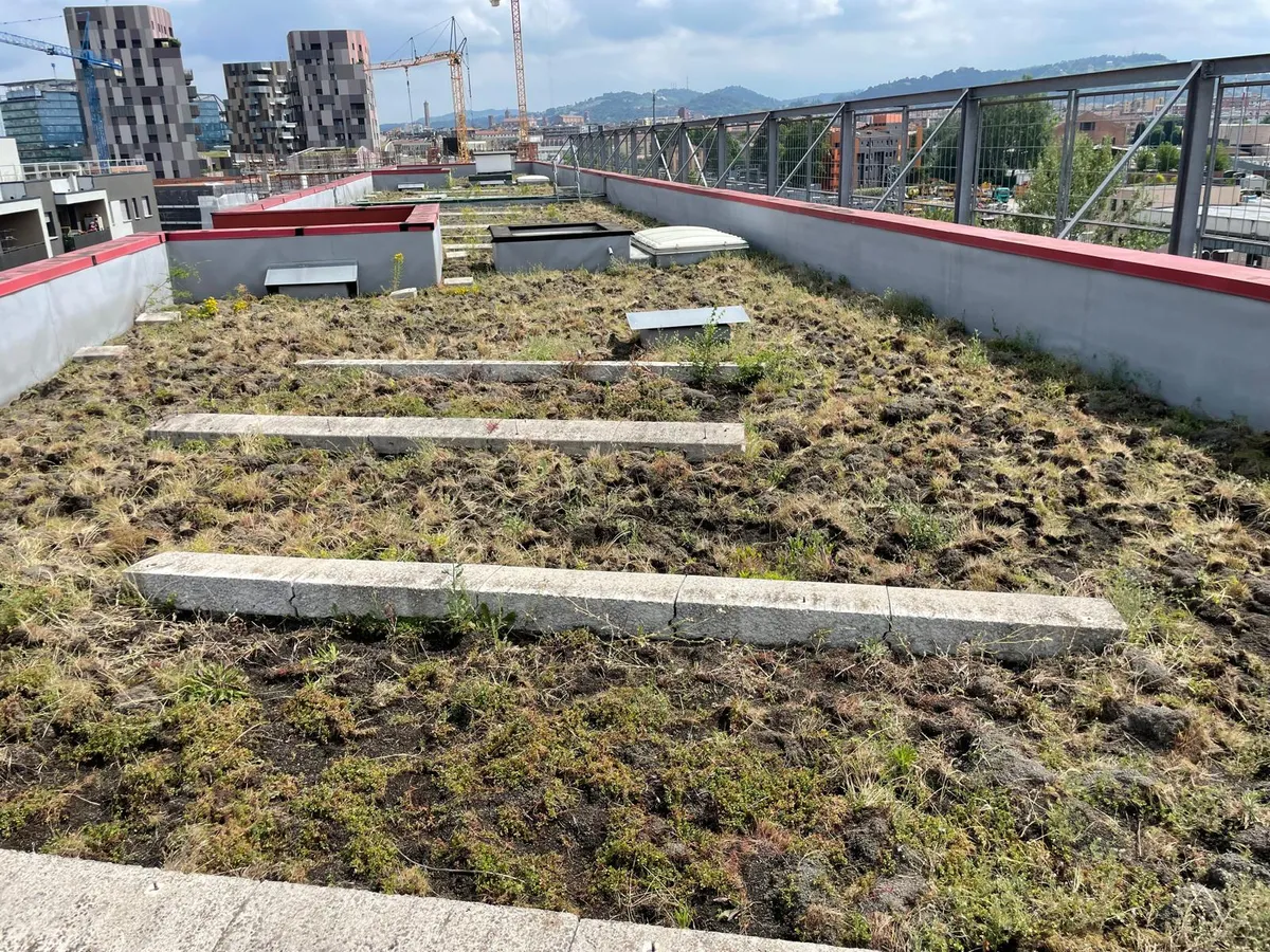 Manutenzione straordinaria di riqualificazione ed adeguamento "Residenza universitaria Fioravanti"