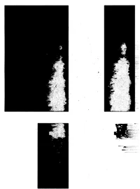 The Company You Keep