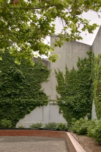 The Company You Keep