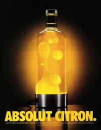 The Company You Keep