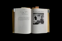 The Company You Keep