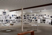 The Company You Keep