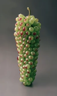 The Company You Keep