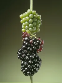 The Company You Keep