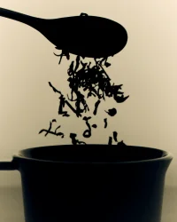 The Company You Keep