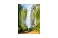 The Company You Keep