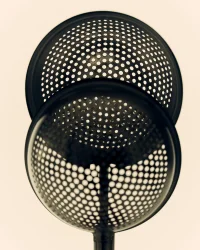 The Company You Keep