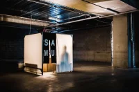 The Company You Keep