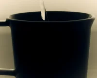 The Company You Keep