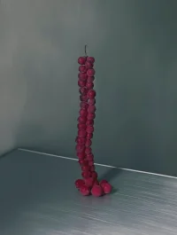 The Company You Keep