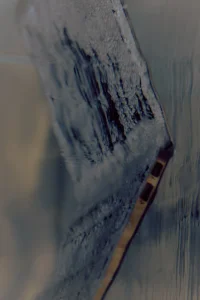 The Company You Keep