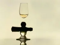 The Company You Keep