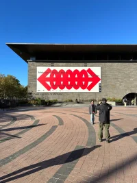 The Company You Keep