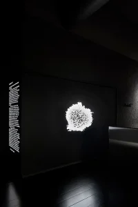 The Company You Keep