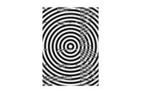 The Company You Keep