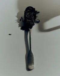 The Company You Keep