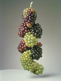 The Company You Keep