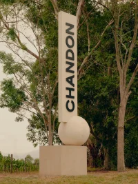 The Company You Keep