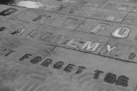 The Company You Keep