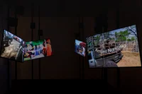 The Company You Keep