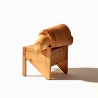 The Company You Keep