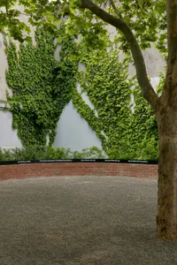 The Company You Keep