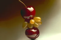 The Company You Keep