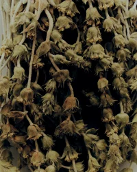 The Company You Keep