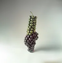 The Company You Keep