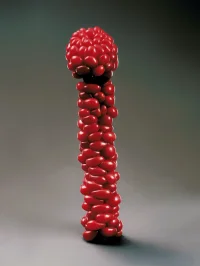 The Company You Keep