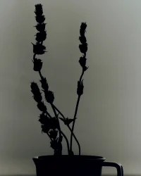 The Company You Keep