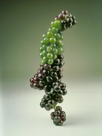 The Company You Keep