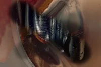 The Company You Keep