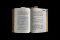 The Company You Keep