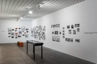 The Company You Keep