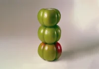 The Company You Keep