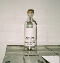 The Company You Keep