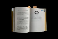 The Company You Keep