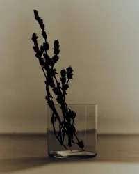 The Company You Keep