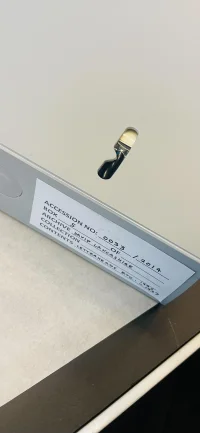 The Company You Keep