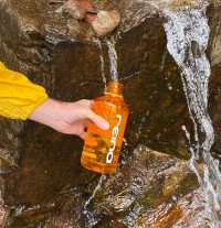 The Company You Keep