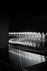 The Company You Keep