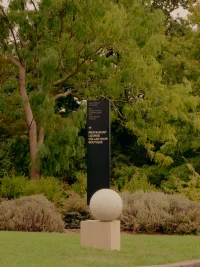 The Company You Keep